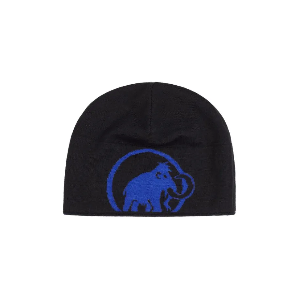 Mammut Mammut Logo Beanie