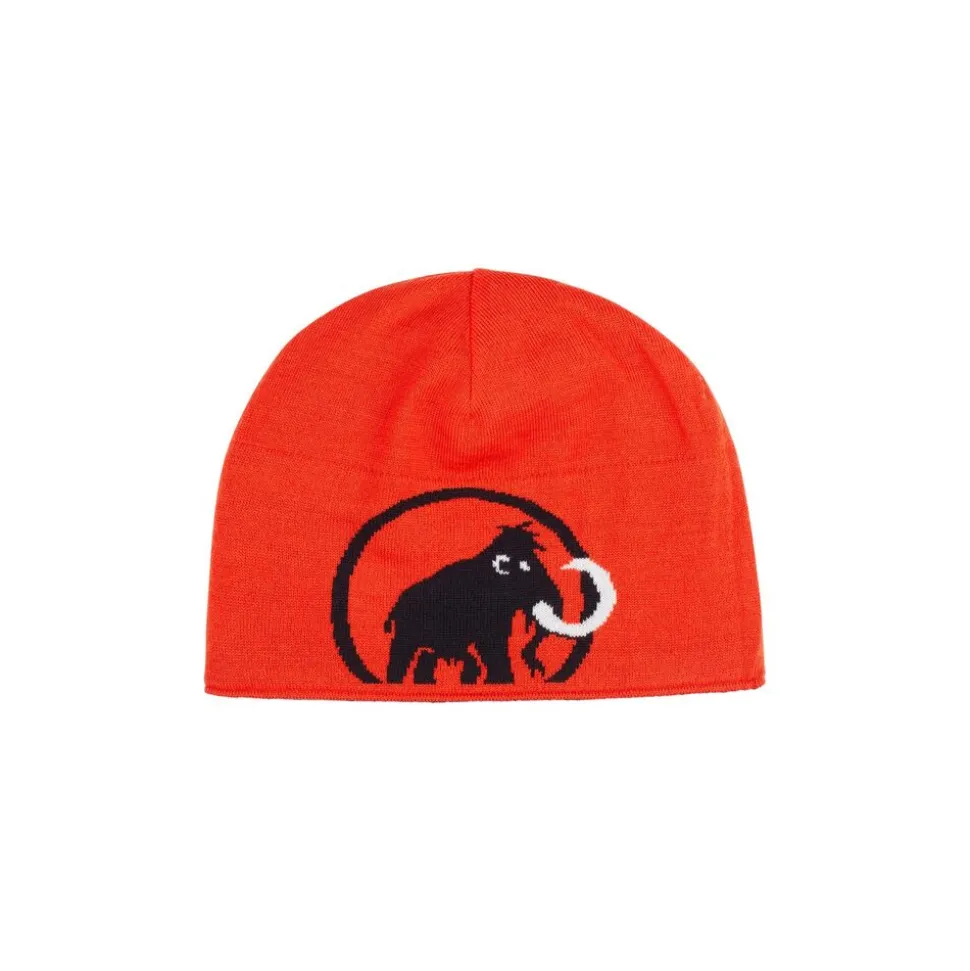 Mammut Mammut Logo Beanie