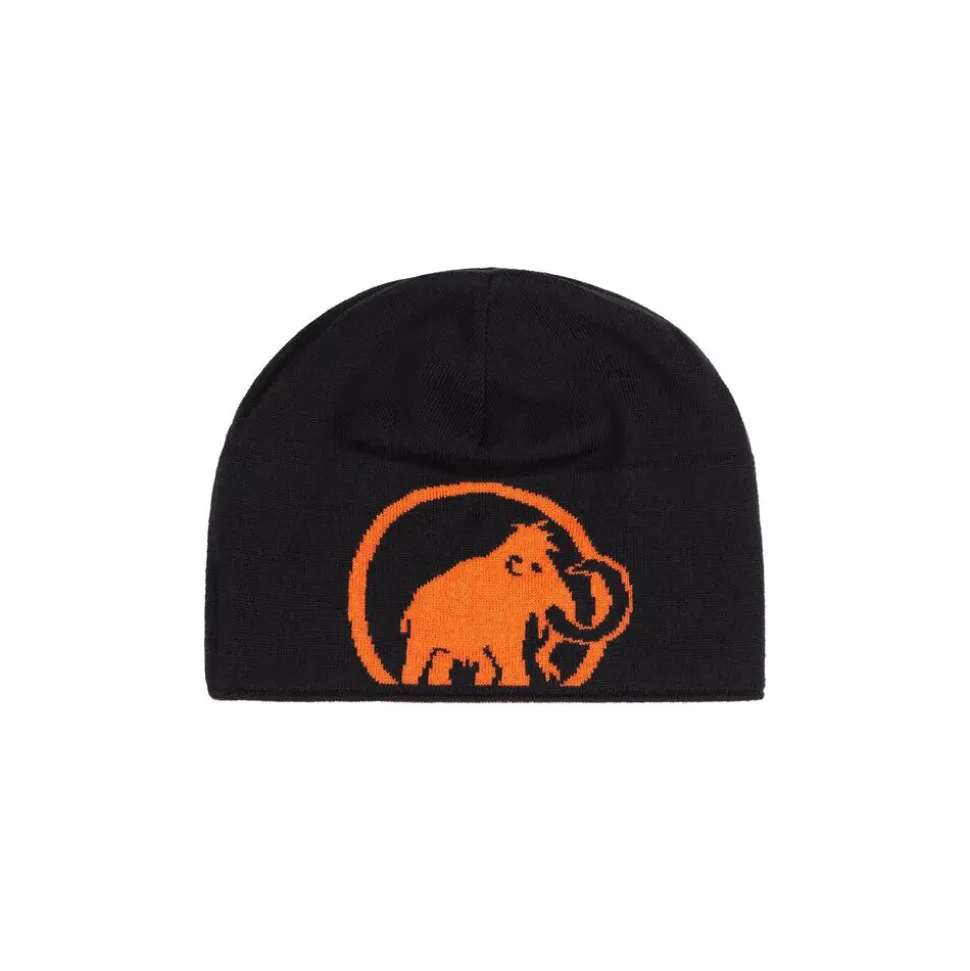 Mammut Mammut Logo Beanie