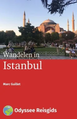 Odyssee Reisgidsen Wandelen In Istanbul