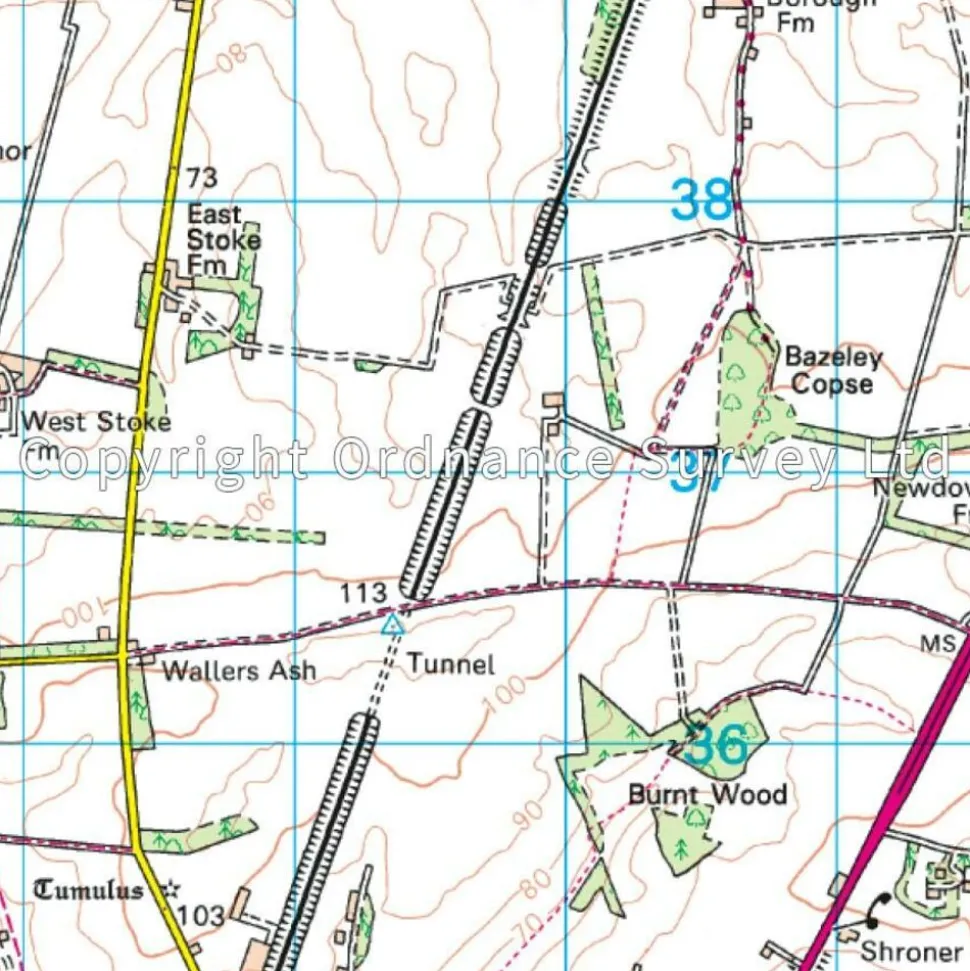 Ordnance Survey Wandelkaart Active 185 Winchester & Basingstoke