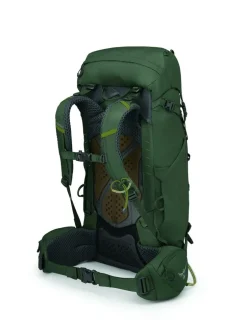 Osprey Kestrel 38