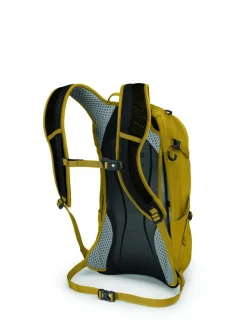 Osprey Syncro 12