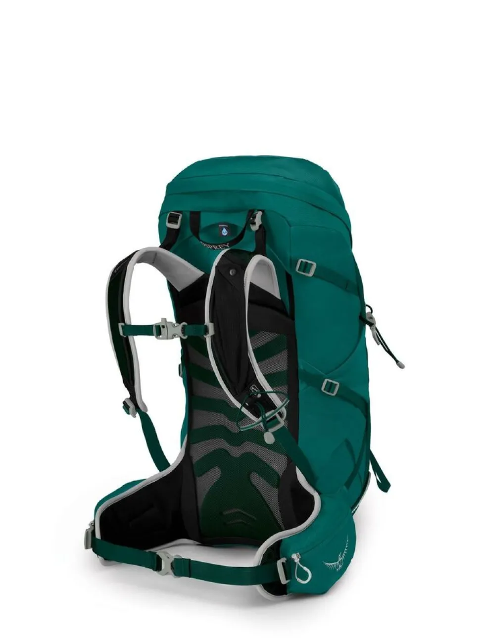 Osprey Tempest 34