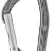 Petzl Djinn carabiner straight gate gray