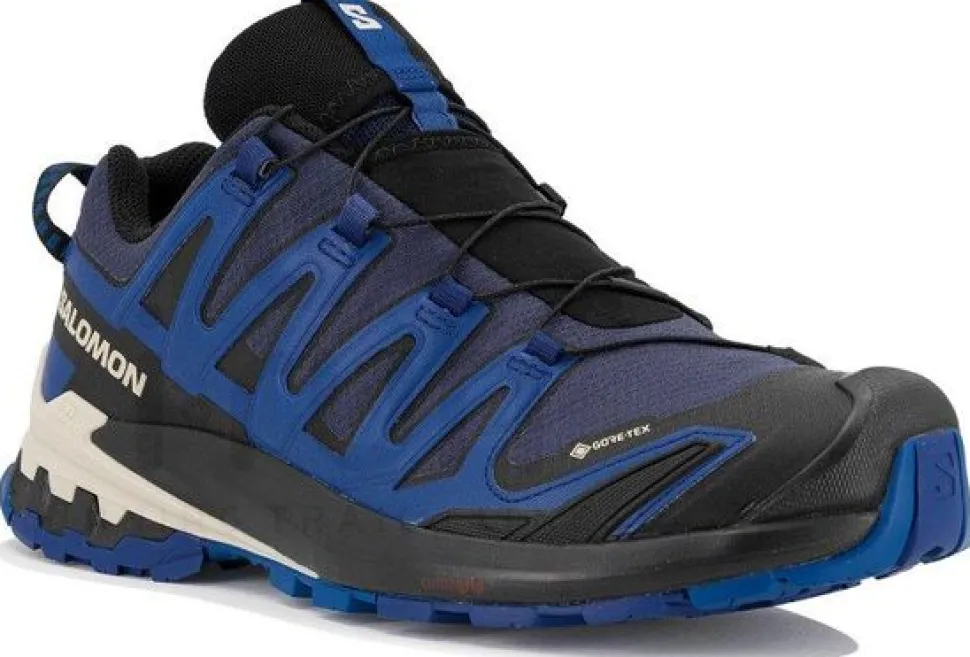 Salomon XA pro 3D v9 GTX M