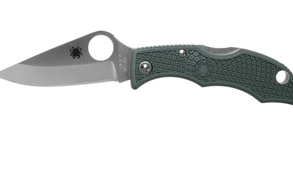 Spyderco Ladybug FRN PE Handig sleutelhangerzakmes