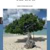 Veltman Aruba