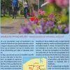 Wandelplatform LAW Streekpad 20 Noardlike Fryske Walden