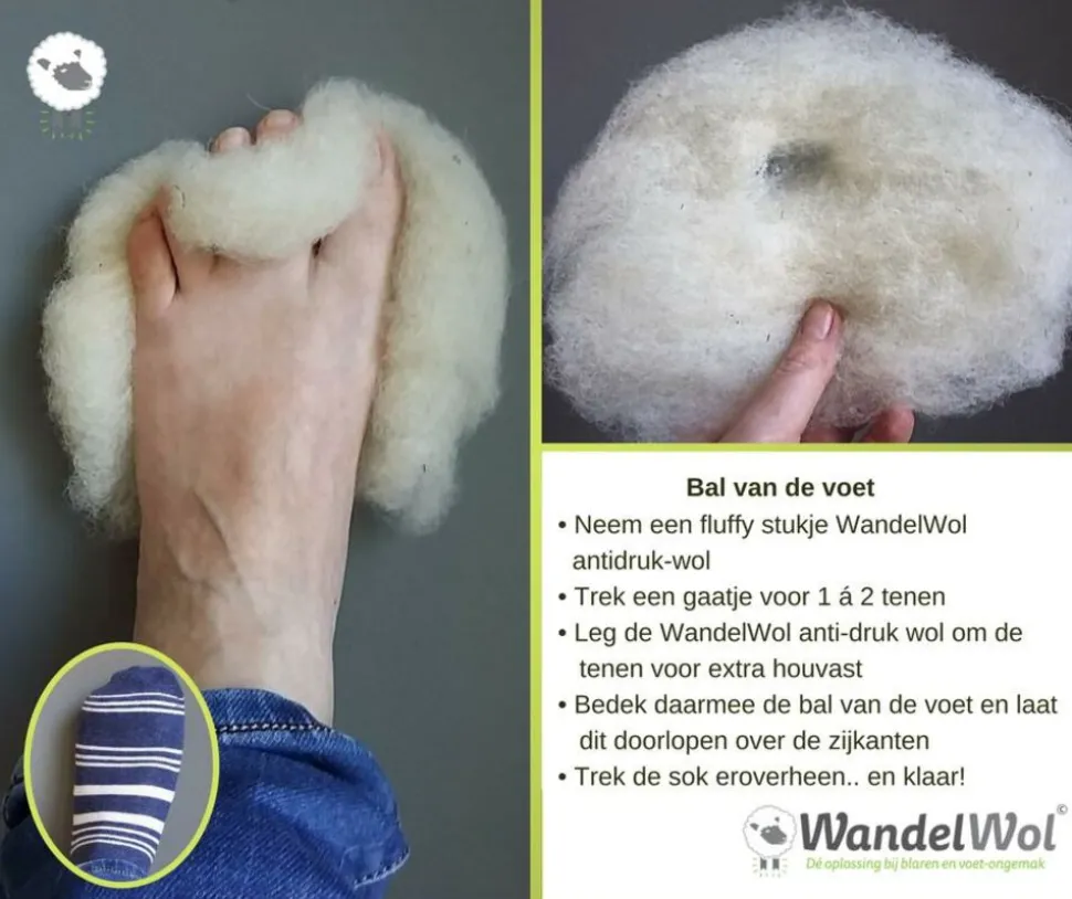 wandelwol Wandelwol 40 gram