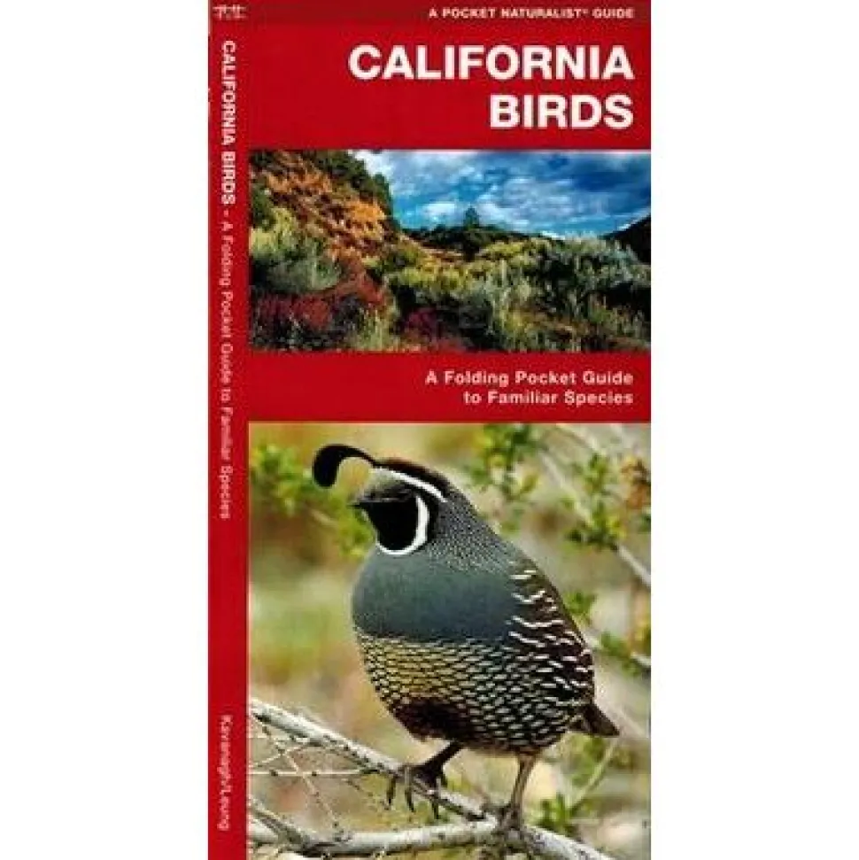 Waterford California Birds