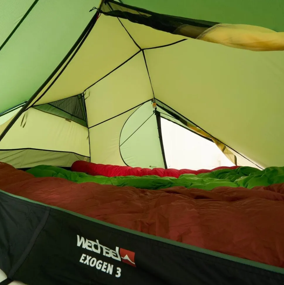 Wechsel Exogen 3 ZG green